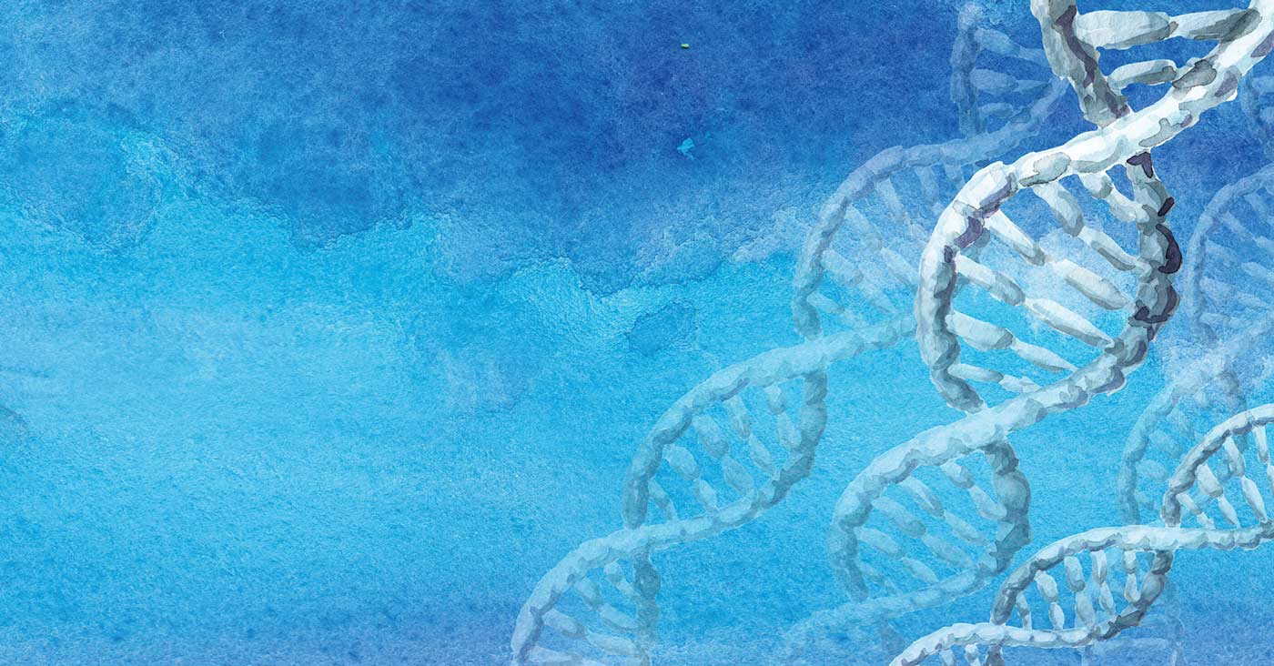 Nutrients for DNA Damage and Repair: Spotlight on Telomere Health