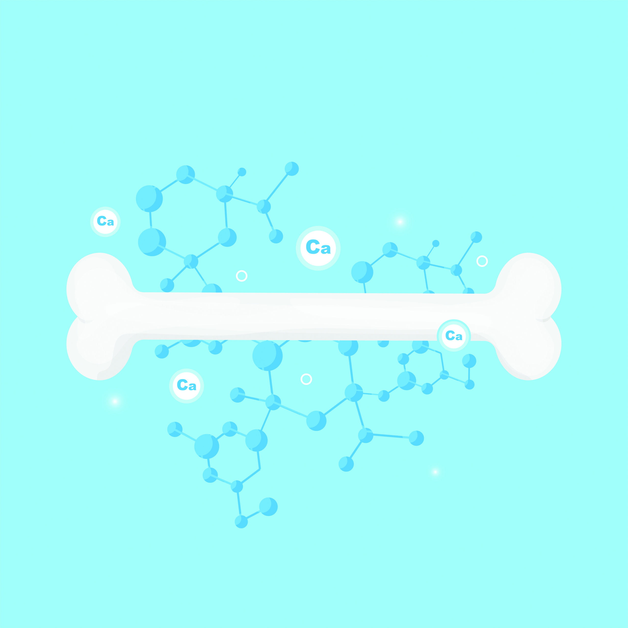 The Relationship Between Calcium and Strong Bones