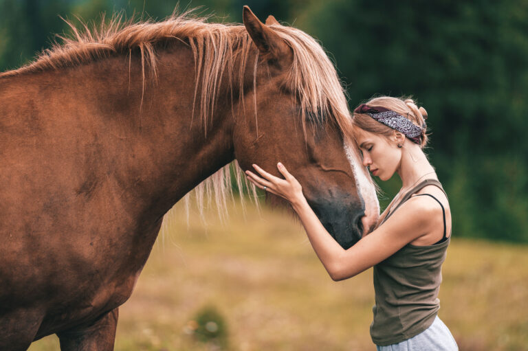 Young beautiful girl hugging horse at nature. Horse lover