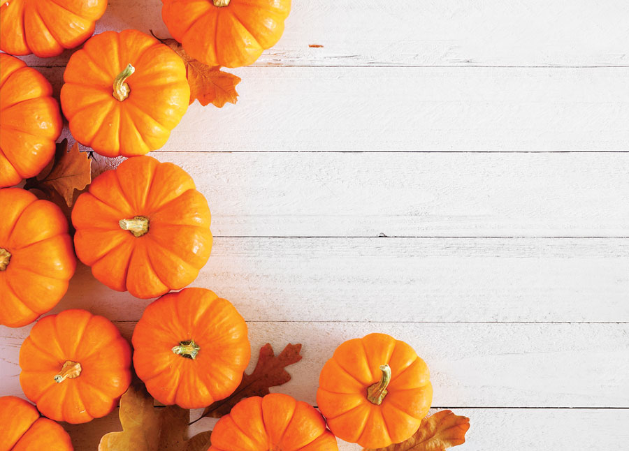 Nutritional Value of Pumpkins