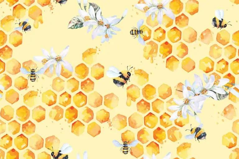 bees