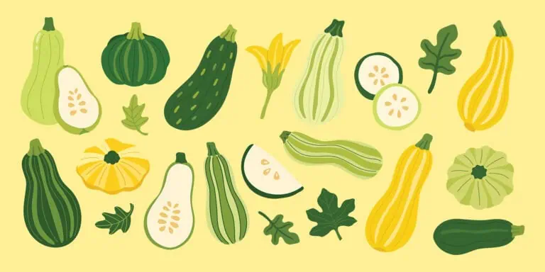 squash